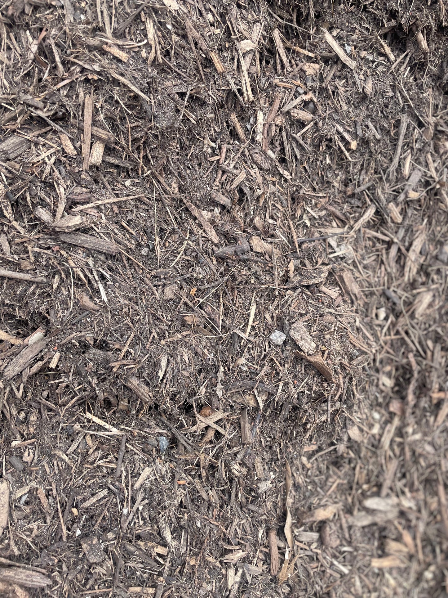 Eucy Mulch