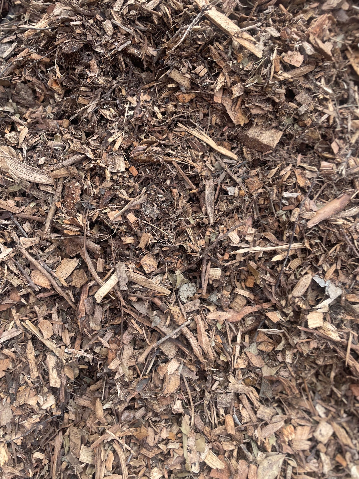 Tree Loppers Mulch