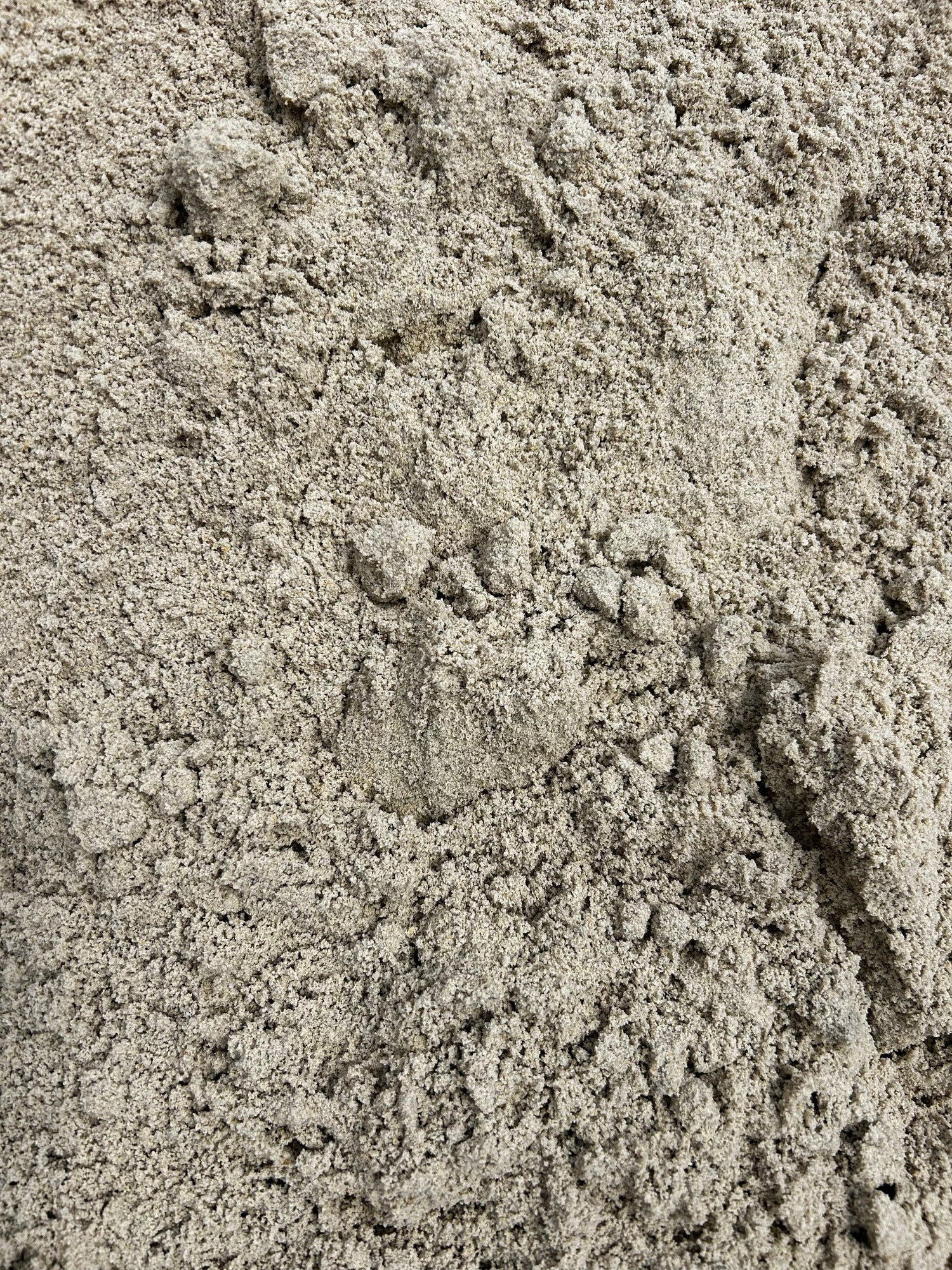 Bulk Sand Delivery Melbourne South East | Brick & Packing Sand