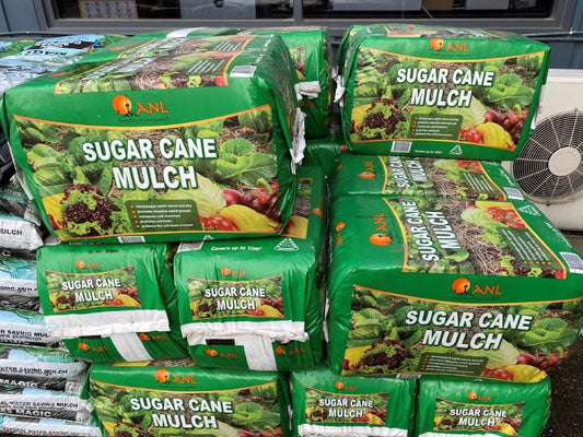 SUGAR CANE MULCH