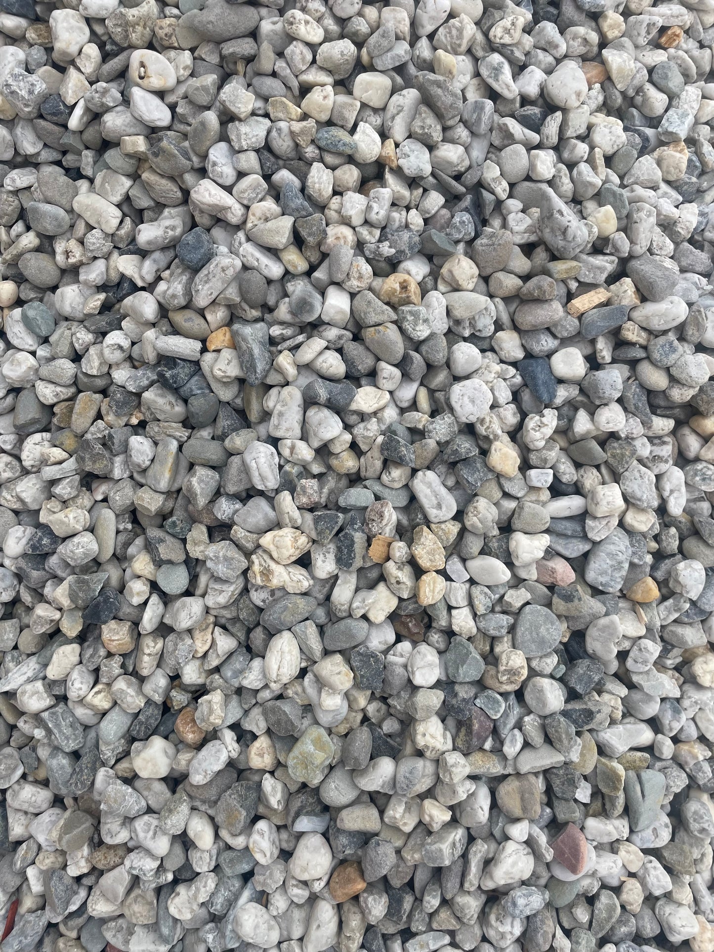 Seymour Pebble 20MM